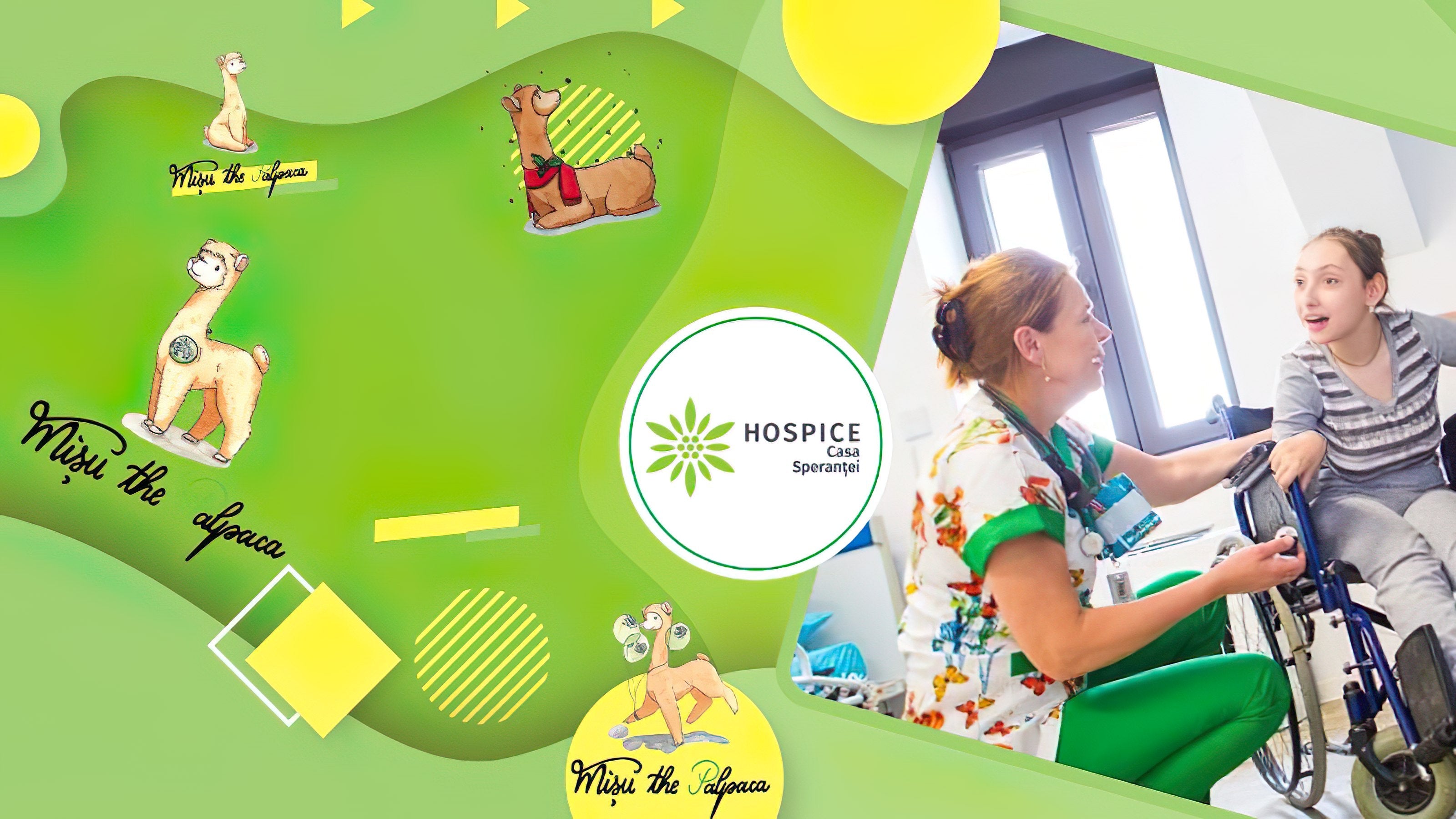 Misu the Palpaca - HOSPICE Casa Sperantei