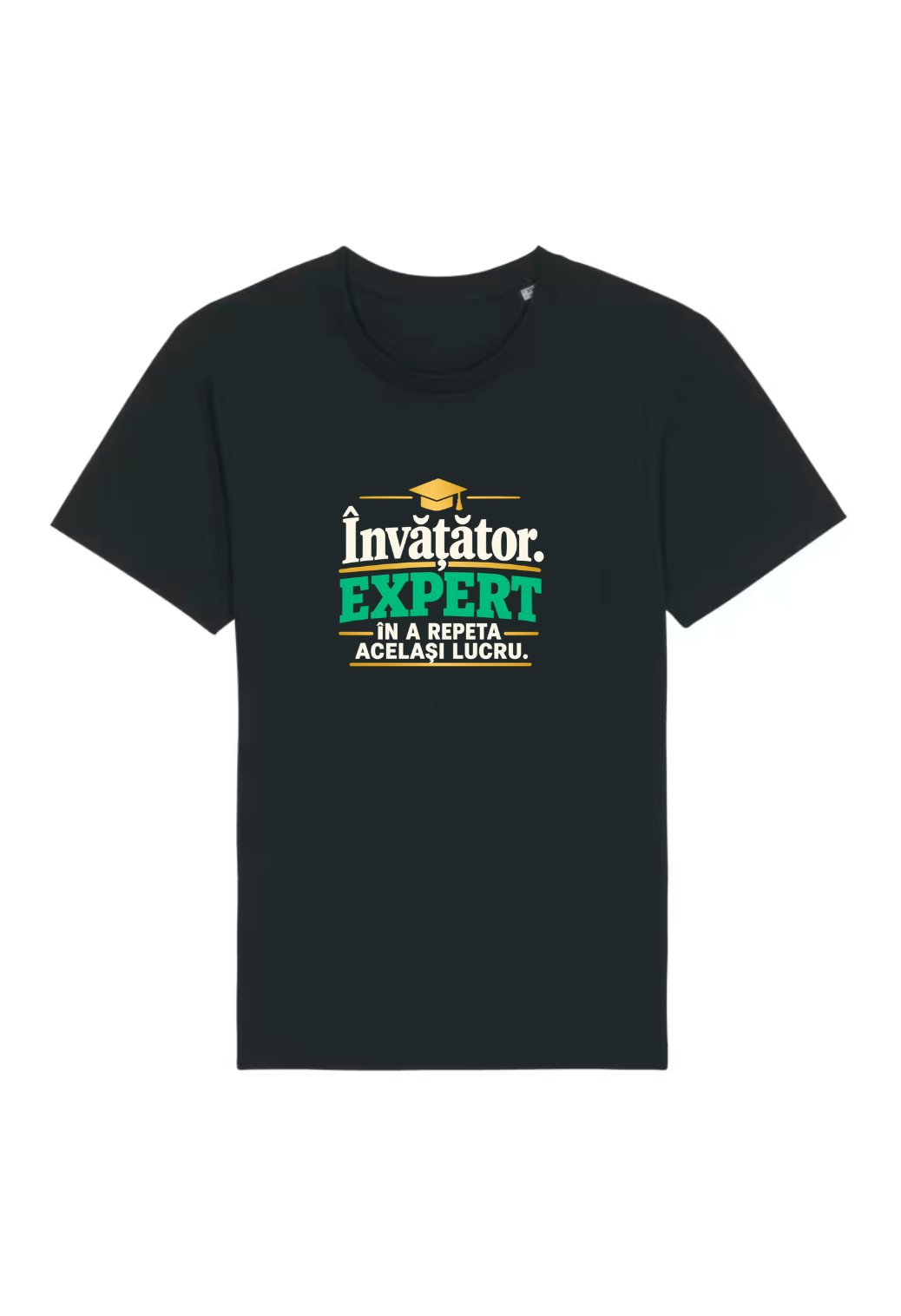 Tricou Basic Barbat Invatator. Expert in a repeta acelasi lucru