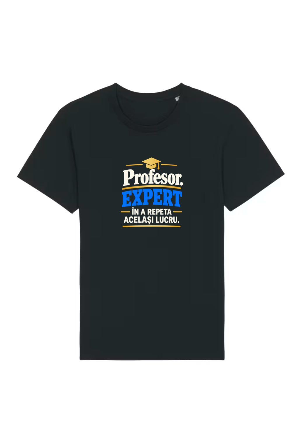Tricou Basic Barbat Profesor. Expert in a repeta acelasi lucru